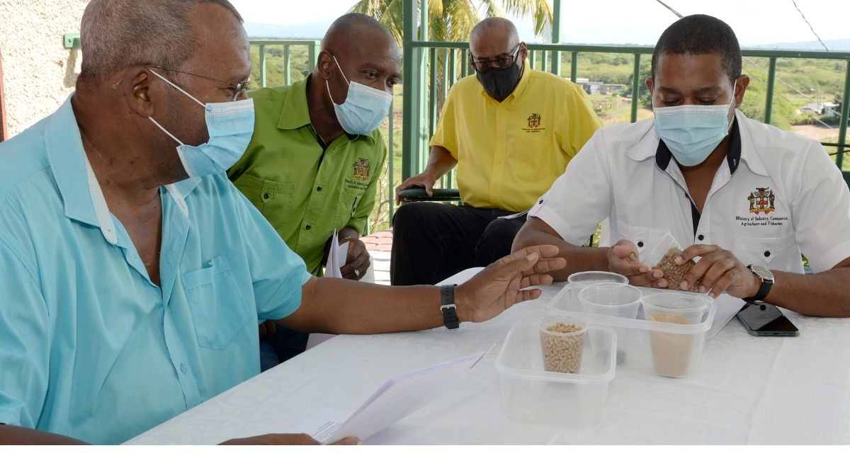 Tilapia farming—the way to go this year