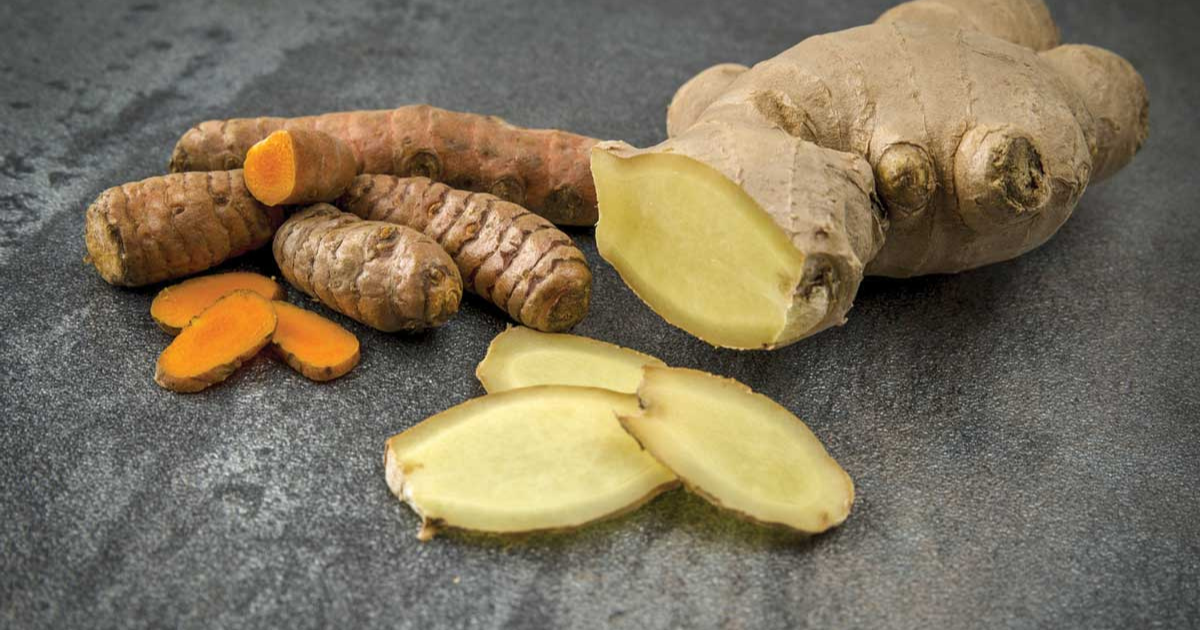 What’s the difference between ginger and turmeric?