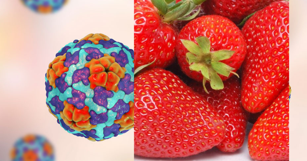 FDA launches investigation into possible hepatitis A outbreak linked to