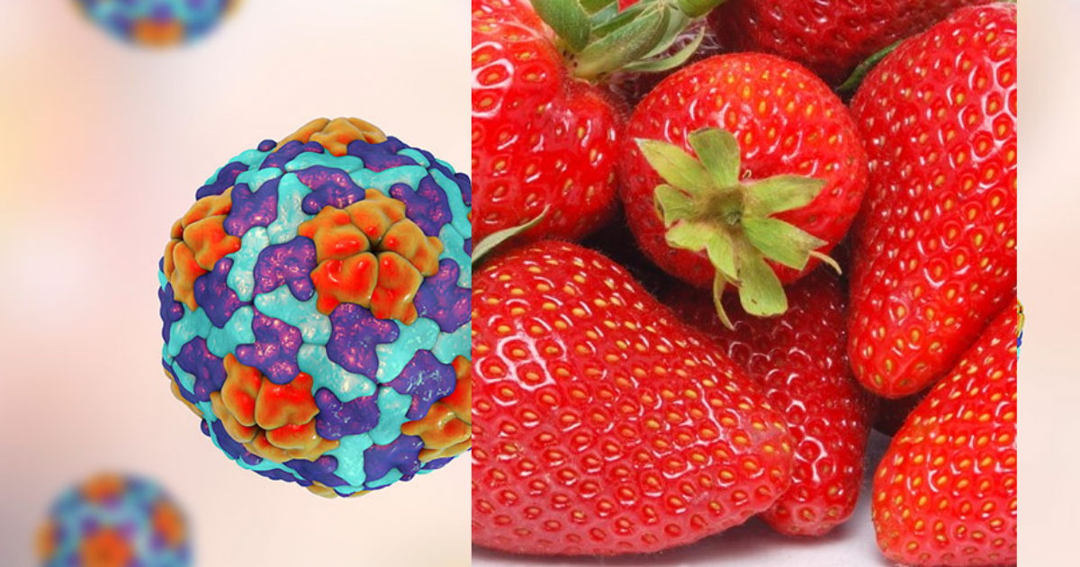 FDA launches investigation into possible hepatitis A outbreak linked to